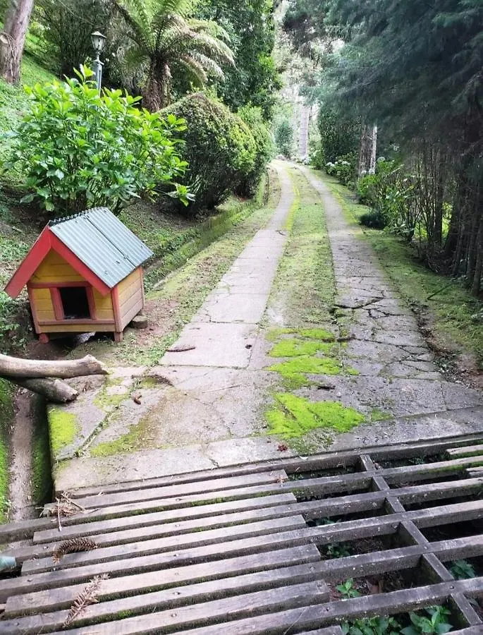 Casa Em Campos Do Jordao - 3 Quartos, Com Churrasqueira 펜션